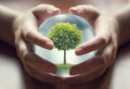 Human hands holding a small tree Royalty Free Stock Photo