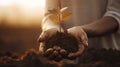 Human hands holding a young plant growing on fertile soil with fire background Generative AI Royalty Free Stock Photo