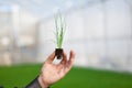 Human hands holding young plant with soil over blurred nature background. Ecology World Environment Day CSR Seedling Go Royalty Free Stock Photo