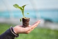 Human hands holding young plant with soil over blurred nature background. Ecology World Environment Day CSR Seedling Go Royalty Free Stock Photo