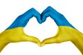 Human hands, painted with ukraine flag, forming heart shape