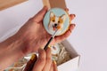 Human hands painting with brush handmade gingerbread with welsh corgi dog portraits, cardboard box is near. Beautiful cookies deco