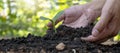 Human hands planting seedlings or trees in the soil Earth Day Royalty Free Stock Photo