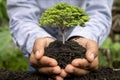 Human hands planting seedlings or trees in the soil Earth Day Royalty Free Stock Photo