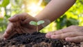 Human hands planting seedlings or trees in the soil Earth Day and global warming campaign Royalty Free Stock Photo