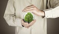 Human hands protecting tree Royalty Free Stock Photo