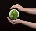 Human hands protecting tree Royalty Free Stock Photo