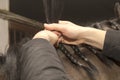 Human hands during splicing horse`s mane