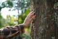 Human hands touching tree green forest in tropical woods, hug tree or protect environment, co2, net zero concept, pollution or