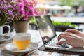 Human hands typing laptop technology working computer web online drink cup hot tea coffee morning breakfast vase flowers Royalty Free Stock Photo