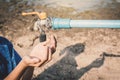 Human hands want to drink some water on crack ground Royalty Free Stock Photo