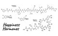 Human happiness hormone concept chemical skeletal formula icon label, text font vector illustration, isolated on white. Periodic