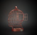 Human head bird cage Royalty Free Stock Photo