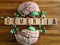 Human head brain anatomy with the word dementia and pills