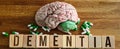 Human head brain anatomy with the word dementia and pills