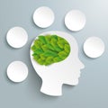 Human Head Brain Green Leaves 5 Circles Infographic