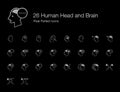 Human Head and Brain Icon Set for Black Background Royalty Free Stock Photo