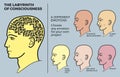 Human head with brain maze is a vector illustration. The profile of a man with a maze instead of a brain.