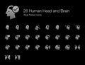 Human Head Brain Profile Avatar Icon Set
