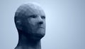 Human head, low poly style 3d vector wireframe object broken into different particles.