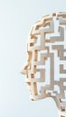 Human head with a maze inside, representing complex thinking Royalty Free Stock Photo