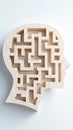Human head with a maze inside, representing complex thinking Royalty Free Stock Photo