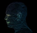 Human head network line abstract background. 3d illustration. Royalty Free Stock Photo