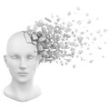 Human head shatter white Royalty Free Stock Photo