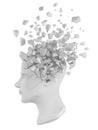 Human head shatter white Royalty Free Stock Photo