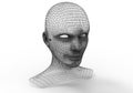 Human head wire framed model Royalty Free Stock Photo