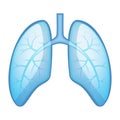 Human Health Lungs and Bronchi