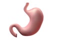 Human healthy stomach. Internal digestion organ. design background medicine illustration.Stomach ulcer - high degree of
