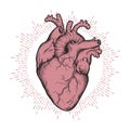 Human heart anatomically correct hand drawn line art and dotwork. Flash tattoo or print design vector illustration