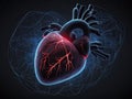 Human heart anatomy on blue background. 3D illustration of human heart