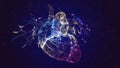 Human Heart Anatomy. Human circulatory system. Heart beat concept. Particles colorful glow mesh 3d Model. 3d