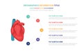 Human heart anatomy infographic template concept with five points list and various color with clean modern white background -