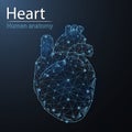 Human heart anatomy organ translucent low poly triangle futuristic glowing.