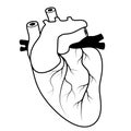 Human heart. black line icon