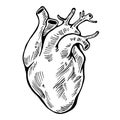 Human heart black line, tattoo. Vector illustration.