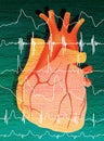 Human heart and cardiogram. Digital illustration