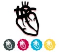 Human Heart with Chambers Icon