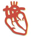 Human Heart with Chambers Icon