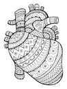 Human heart coloring book vector illustration Royalty Free Stock Photo