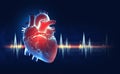 Human heart 3D illustration. Pulse, heartbeat. Heart stress. Medical illustration X-ray