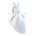 Human Heart. 3d render. Isolated, contains clipping path.