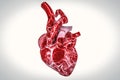Human heart and DNA concept heart disease and health treatments