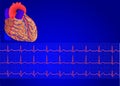Human heart& Electrocardiogram 3 Royalty Free Stock Photo