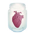 Human heart in glass jar isolated. Sticker, print or blackwork tattoo hand drawn vector illustration