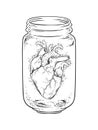 Human heart in glass jar isolated. Sticker, print or blackwork tattoo hand drawn vector illustration Royalty Free Stock Photo