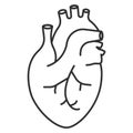 Human heart icon. Anatomically correct heart with venous system icon. Vector illustration